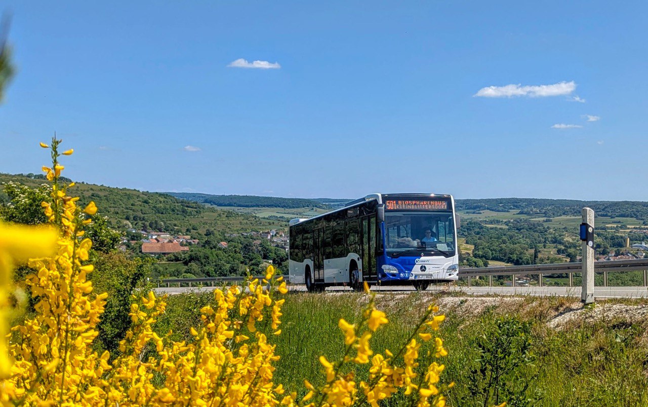 Reise Fischer Bus